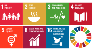 Achieving Goal 5 - Gender Equality - requires taking a holistic approach to all the Global Goals. There are 17 United Nations Sustainable Development Goals. The Goals pictured here are those that our programming impacts directly. Graphics: United Nations