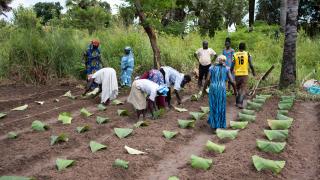 Programme participants at the Women for Women International agriculture training site in Yei, South Sudan. Photo credit: Charles Atiki Lomodong