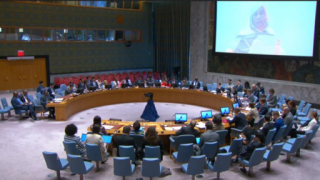Dr. Limiaa Ahmed, Senior Program Director, Sudan Family Planning Association briefing the Security Council. Photo: Women for Women International