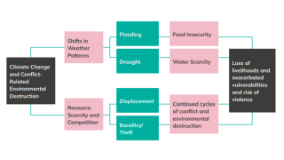 Women for Women International: “Indirect and direct impacts of climate change and conflict-related environmental destruction explored in our research and surveys with women in our programmes"