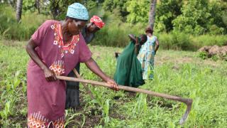 Women for Women International programme participants farming in South Sudan. Photo: Edward Malish