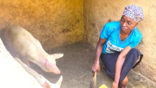 Grace with her piglets. She says, "I was able to choose a good breed because I learnt about the different breeds of pigs, their advantages and disadvantages, including the best place to rear them and the type of food to feed them. This knowledge has really helped me in taking care of my piglet and I’m happy to say it is growing very well."