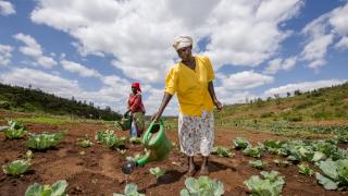 Women for Women International demonstration farm in Rwanda. Photo: Alison Wright