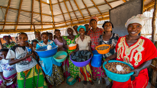 Programme participants in the Democratic Republic of Congo