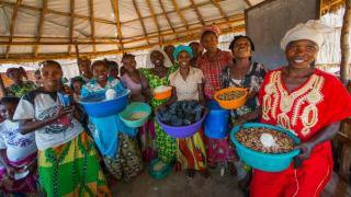 Programme participants in the Democratic Republic of Congo