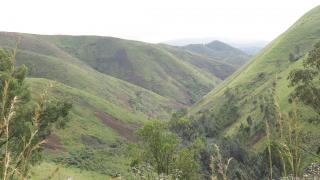 DRC Landscape