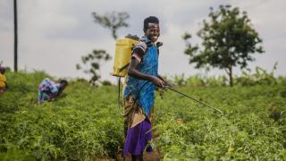 Women for Women International - Rwanda programme participants work on their cooperative farm. Photo: Serrah Galos