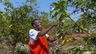 Women for Women International - Rwanda programme participant.* Photo: Alison Wright