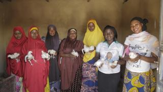 Women for Women International-Nigeria programme participants are trained in poultry farming and learn how to establish and manage a cooperative business.Photo: Sefa Nkansa