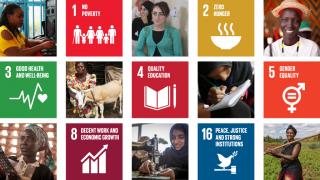 There are 17 UN Sustainable Development Goals (SDGs). The Goals pictured here are those that our programming impacts directly. Photo: UN/Women for Women International