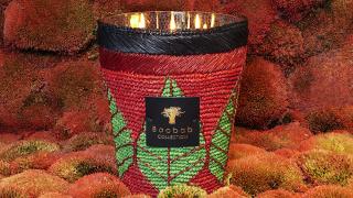 Baobab Collection Hazo Scented Candle 