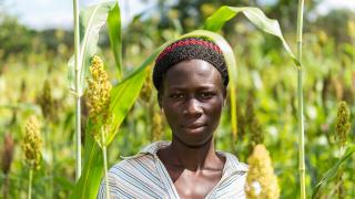 Women, Peace and Security