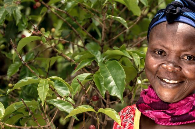 A Women for Women International programme participant in Democratic Republic of Congo. Photo: Ryan Carter 